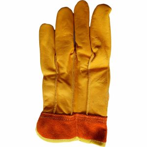 GIGPR GTE-PE - Image 1