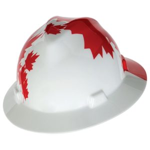 MSA 10082234 - Image 1