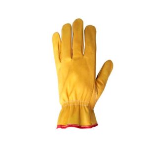 GIGPR GTE-ARG - Image 1