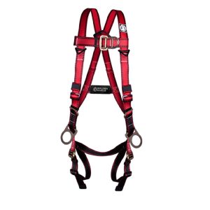 GOLDEN PC100K-P2PD - Image 1